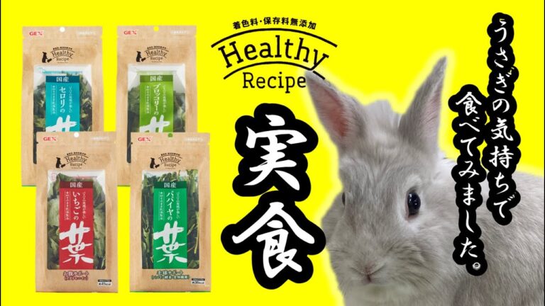 ヘルシーレシピ【いちごの葉・パパイヤの葉・セロリの葉・ブロッコリーの葉】実食してみた