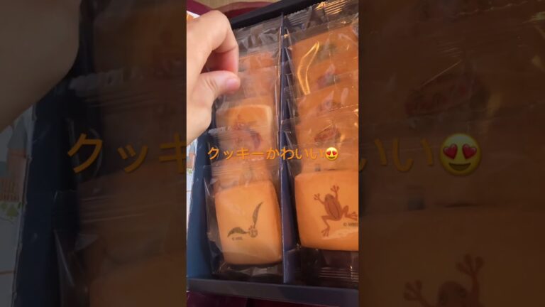 ホグワーツプリントクッキー・キーホルダー付き✨(2023年6月27日に買った❤️)