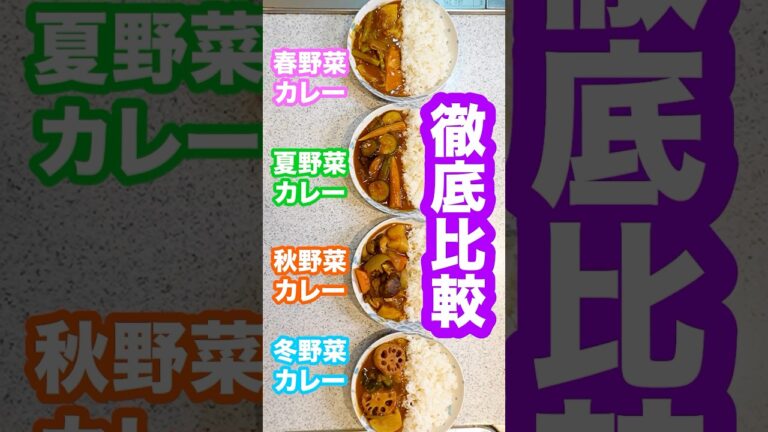 【徹底比較】夏野菜カレーはあるのになぜ他の季節の野菜カレーはないのか？春夏秋冬それぞれの野菜カレーを同時に作って比べたらヤバい結果に！#shorts