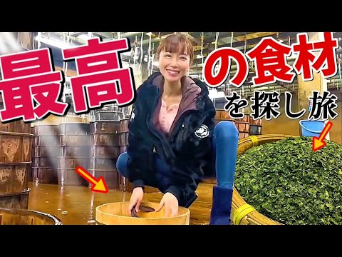 美しすぎる食材●●を求めて、港町にやってきた！【魚屋の森さん】