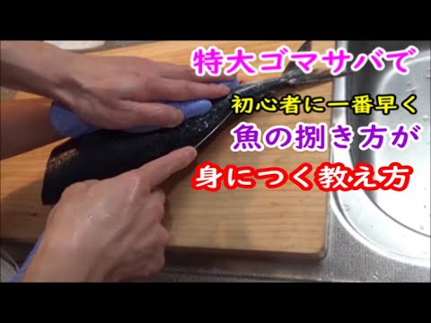 【初心者向け教え方】息子に捌き方を教える動画。＃サバレシピ＃サバ竜田揚げ＃サバ捌き方