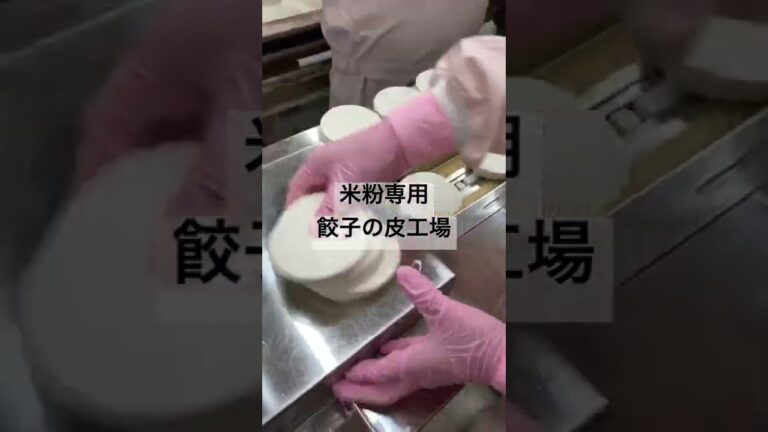 米粉専用工場🌾餃子の皮製造中🥟#井辻食産 #米粉専用工場 #米粉 #グルテンフリー