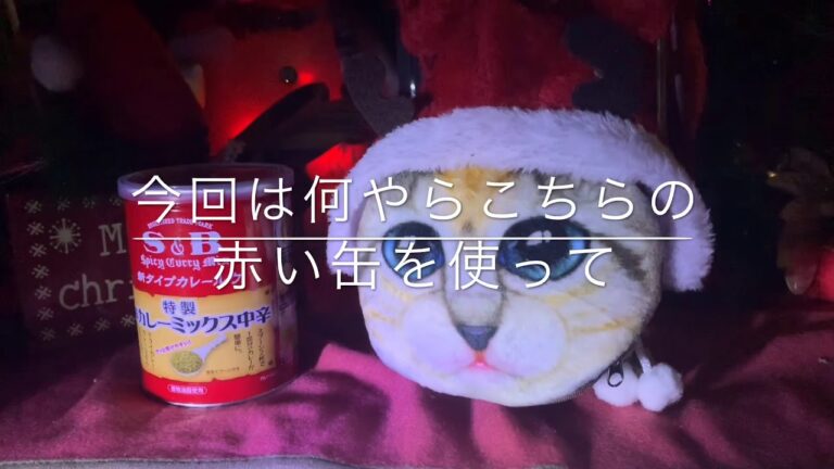 赤缶カレーミックスを使ってミックスナッツ入り簡単ドライカレーを作ってみた Easy dishes of dry curry