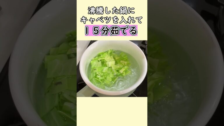 簡単♪キャベツペーストの作り方【離乳食初期】【ごっくん期】#shorts