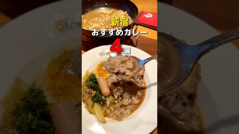 【新宿】おすすめカレー4選 #新宿グルメ