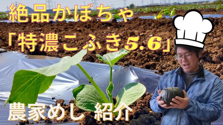 【素材を活かす かぼちゃレシピ】まるでスイーツ！「特濃こふき5.6」紹介 2020年12月19日