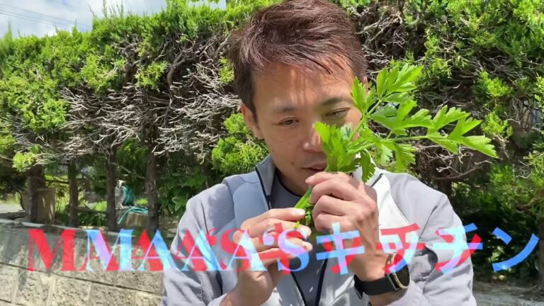 畑でつくるセロリスムージー野菜ソムリエ谷口正典
