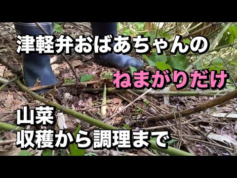 【山菜のレシピ】面倒な下処理のコツ　たけのこの味噌汁　　日本語字幕付き
