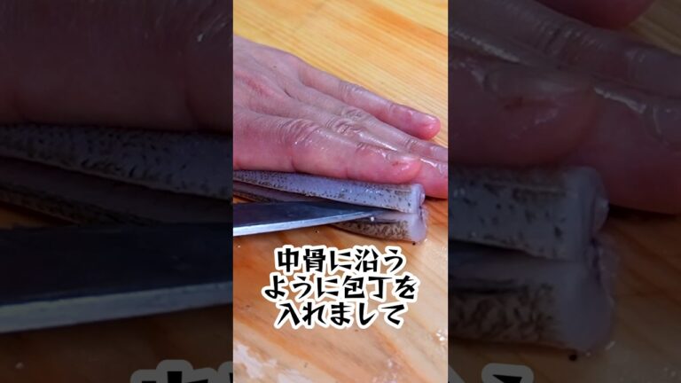 キスの背開きの捌き方