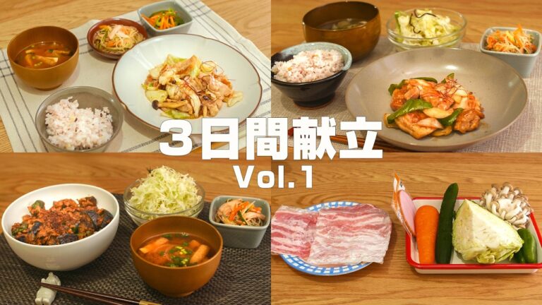 【3日間献立 Vol.1】 副菜は作り置きで春雨サラダ！