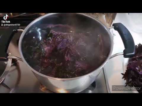 赤紫蘇ジュース #Short