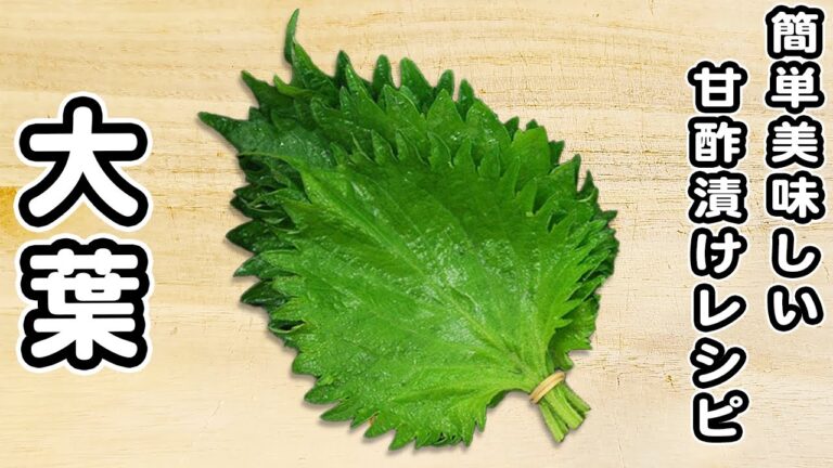 【大葉の簡単レシピ】甘酢漬けが簡単なのに美味しすぎる！白ご飯と相性抜群♪箸が止まらない漬物の作り方/大葉レシピ/簡単おかず/作り置きおかず