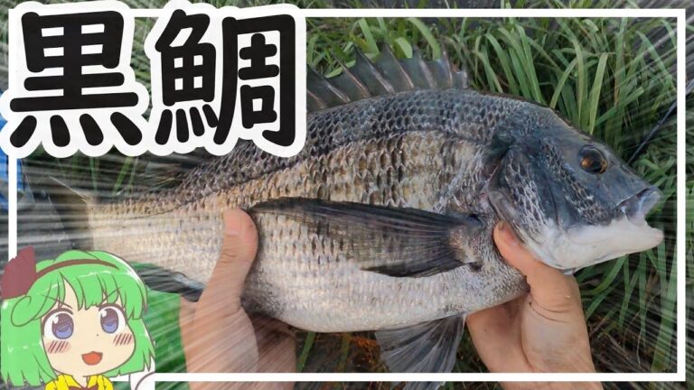 【名港西４区貯木場】緑みょん妖夢　飛島埠頭　台風後のフカセ釣り【ゆっくり実況、ゆっくり料理】＃24