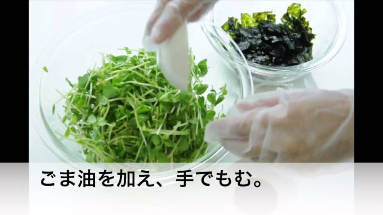 豆苗と韓国海苔のサラダ