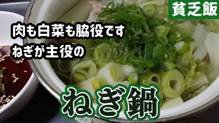 【貧乏飯】安かった長ネギをメインの具材にしてネギ鍋にして食べます