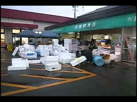 博多雑煮用のブリの買い出し　福岡県宗像市