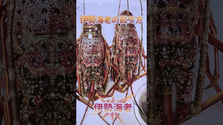 🦐伊勢海老を豪快に塩茹でしてみました！