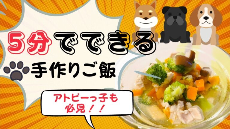 【時短で犬の手作りご飯】絶対失敗しない！食いつき最高の鶏雑炊　＃アトピー性皮膚炎　＃犬　＃手作りごはん