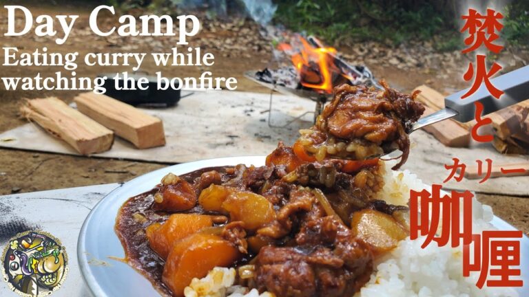 【DayCamp】焚火とキャンプ王道のカレーの組み合わせは最強でした🎵#388