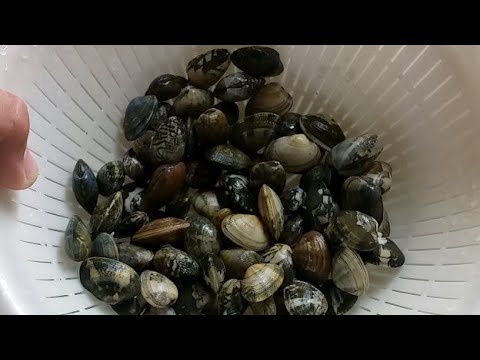 お酒のつまみと....やっぱおっ鍋～♪