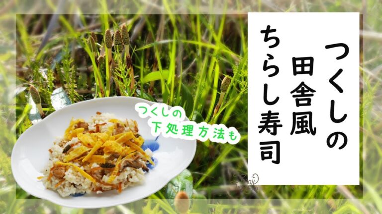 【つくしの下ごしらえと】つくしのちらし寿司、混ぜご飯