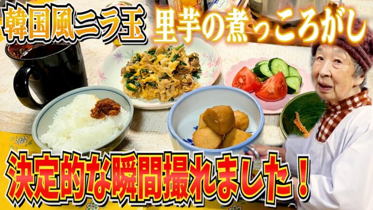とある日の夕食 ばあちゃんの韓国風にら玉と里芋の煮っころがしと決定的瞬間と。【本篇】