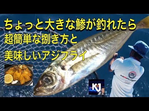 #鯵釣り#アジフライ#捌き方　子供に大好評【超簡単アジフライ】ちょっと大きめな味が釣れたら美味しいアジフライ。プロの揚げ物の作り方。脱　南蛮漬け♬