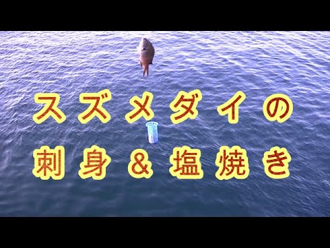 スズメダイの刺身＆塩焼き　無添加　NON-GMO オーガニック 非遺伝子組み換え