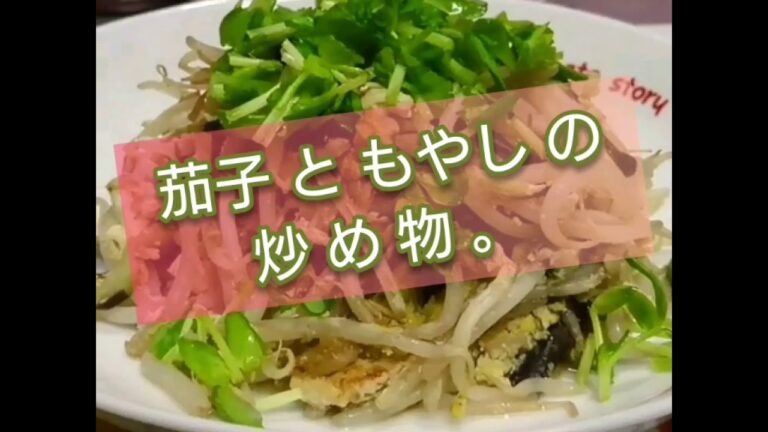 【 料 理 】茄子 と もやし の 炒め物 4/23 (火) ①