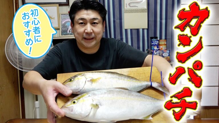 初心者が捌くのにおすすめ！知り合いからもらったカンパチでゴマカンパチとなめろうを作ったよ！