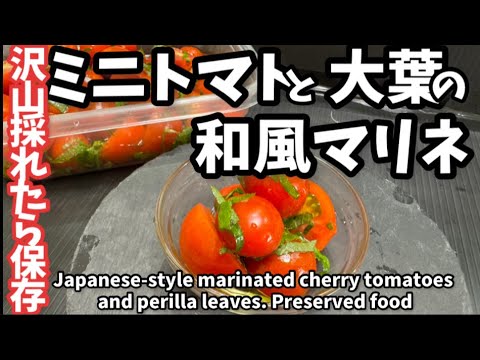237.ミニトマトと大葉の和風マリネ・沢山採れたら保存