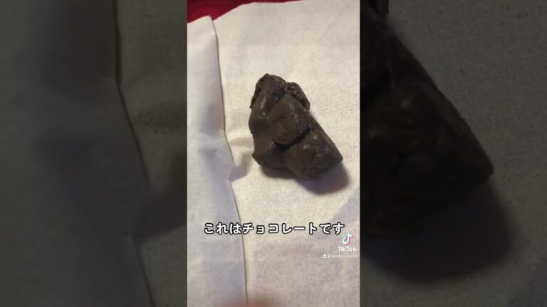 手作りのチョコレートをもらってしまった #うんこ #うんち #スイーツ