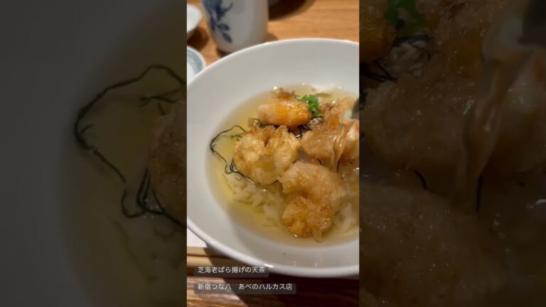 天ぷらの〆の天茶です今回は芝海老をかき揚げにせずに、ばら揚げにして天茶にしてもらいました　出汁が旨い