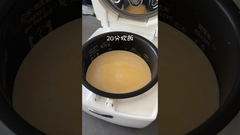 炊飯器で巨大プリン作った結果ww #shorts