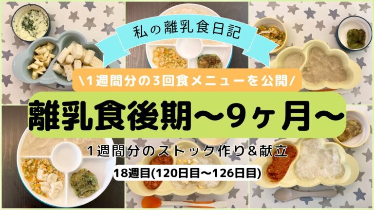 【離乳食後期】1週間分のストック作り&献立/生後9ヶ月/ハンドブレンダー使用/What my 9 month old eats in a week/Baby food prep/18週目