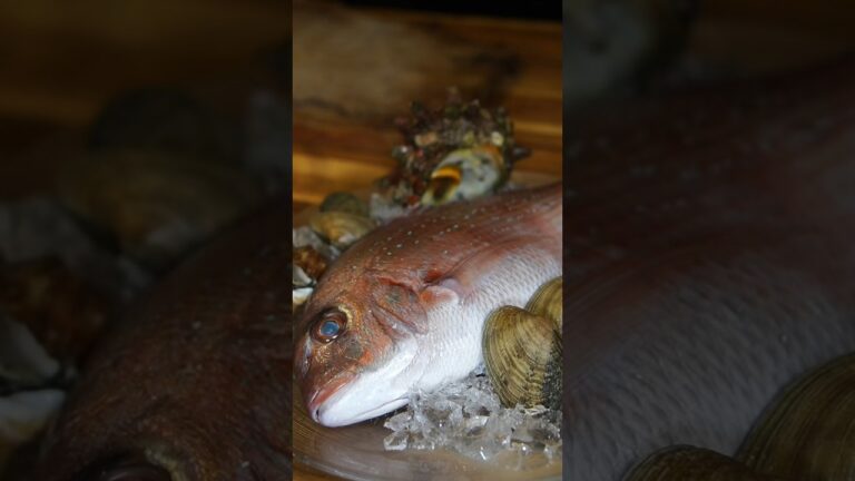 真鯛を使った美味しい料理の作り方 #shorts #zuppadipesce #piattounico