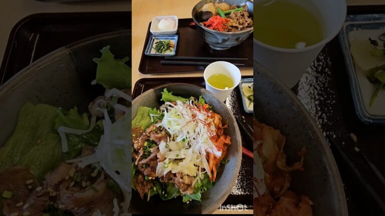 道の駅米沢　米沢牛　焼肉丼　すき焼き丼　🎂山形ラ・フランスケーキ　#shorts