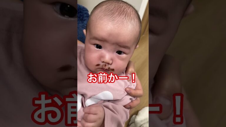 赤ちゃんはチョコレート泥棒？【バレンタインSP】
