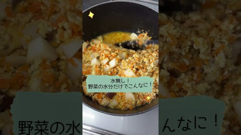 【今日のお手軽クッキング】無水大根カレー