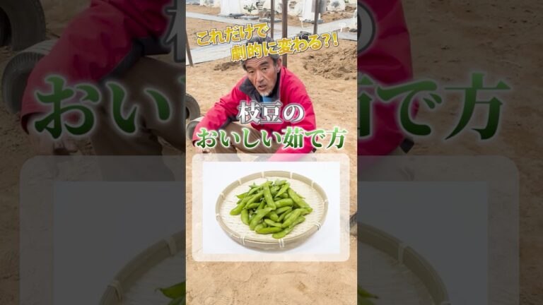 これだけで劇的に変わる？！枝豆のおいしい茹で方