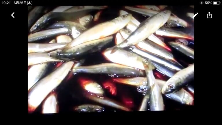 《真鰯(まいわし)の佃煮》・・・・大和の 和の料理《佃煮》