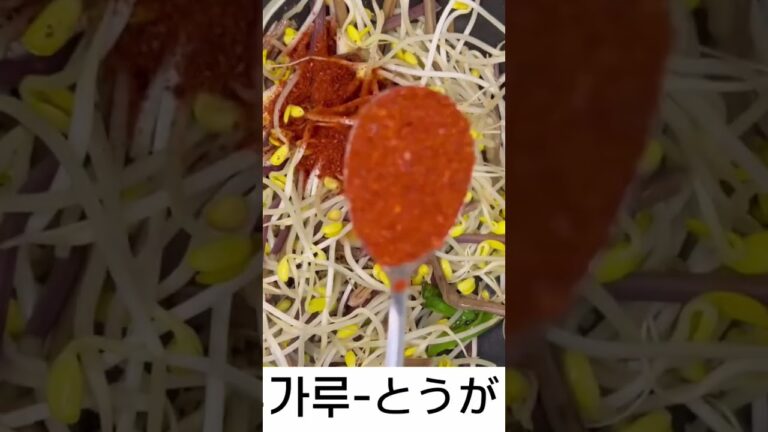 韓国留学生が作るユッケジャン/일본인유학생이만든육개장