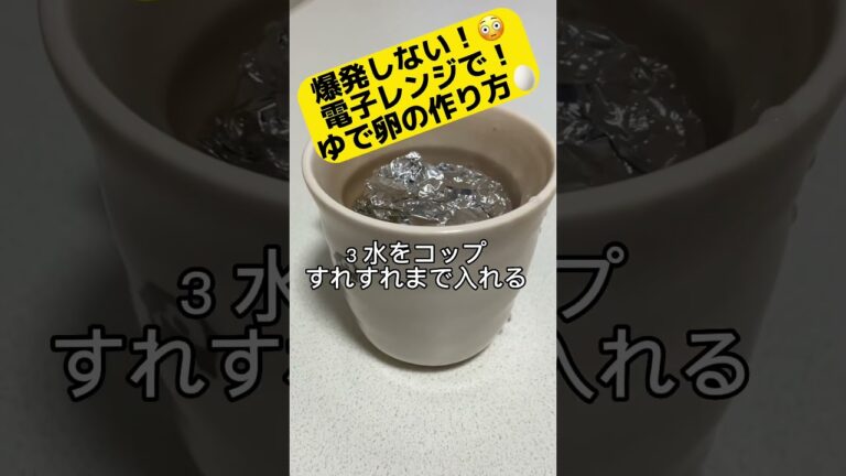 電子レンジで爆発せずにゆで卵を作る方法|お金|貯金|ぼっち|簡単レシピ|独身|一人暮らし|友達いない|節約|ガス代節約