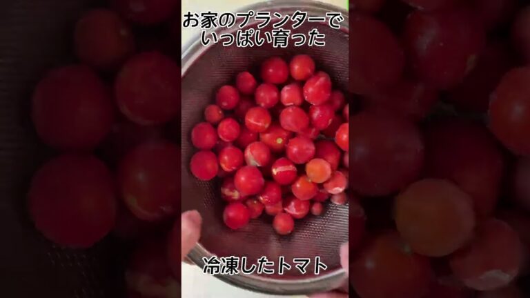 トマトの湯むき🍅めちゃカンタン　#shorts #トマト