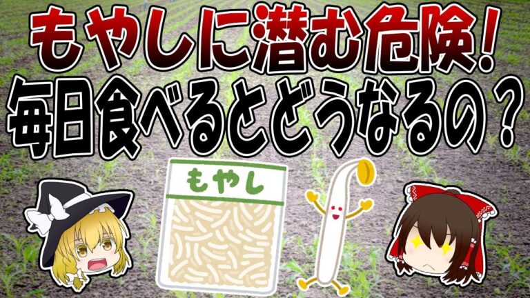 もやしに潜む危険！毎日食べるとヤバいのか？【ゆっくり解説】