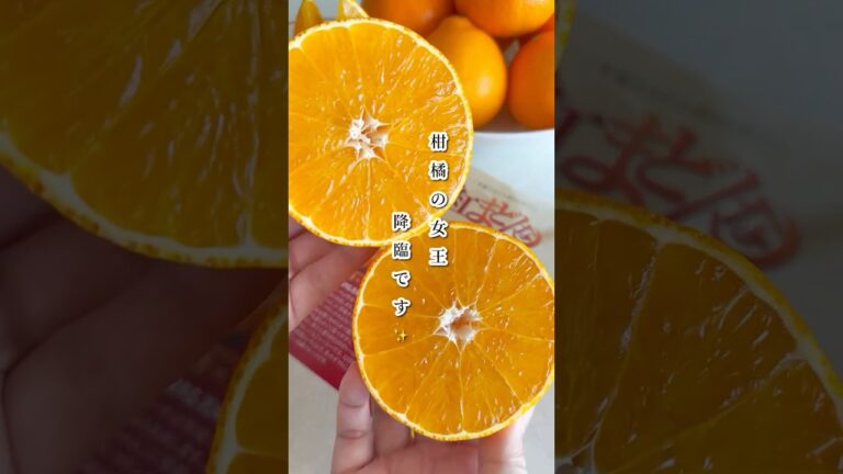 柑橘の女王、降臨です✨　#紅まどんな #ふるさと納税 #愛媛県今治市