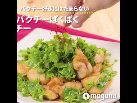パクチー好きにはたまらない♪ パクチーぱくぱくパクリンチー ｜ moguna[モグナ]