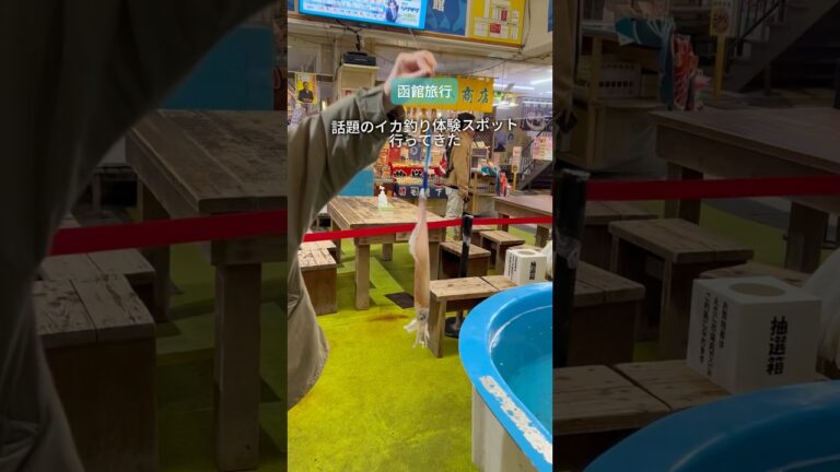 【函館スポット】函館朝一で大人気のイカ釣り体験が楽しすぎた🦑函館朝市イカ釣り体験#北海道 #北海道旅行 #函館 #函館旅行 #函館スポット #函館観光