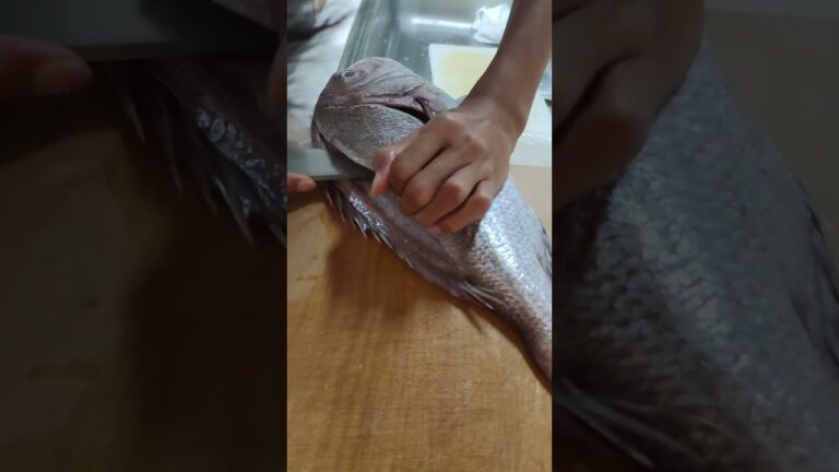 真鯛の姿造り、鯛しゃぶで食す！