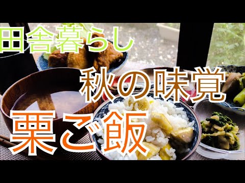 秋の味覚　栗ご飯に挑戦